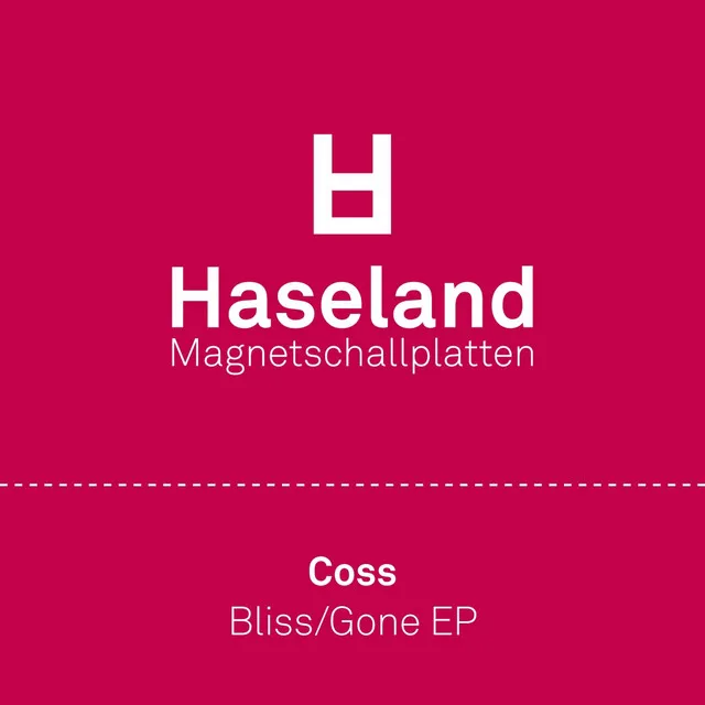 Bliss - Schleppstigg Version