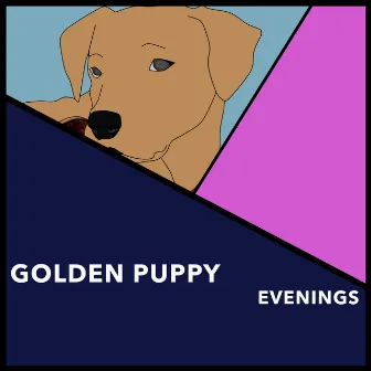 Golden Puppy Evenings by Zen Dog