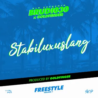 Stabiluxuslang by Unknown Artist