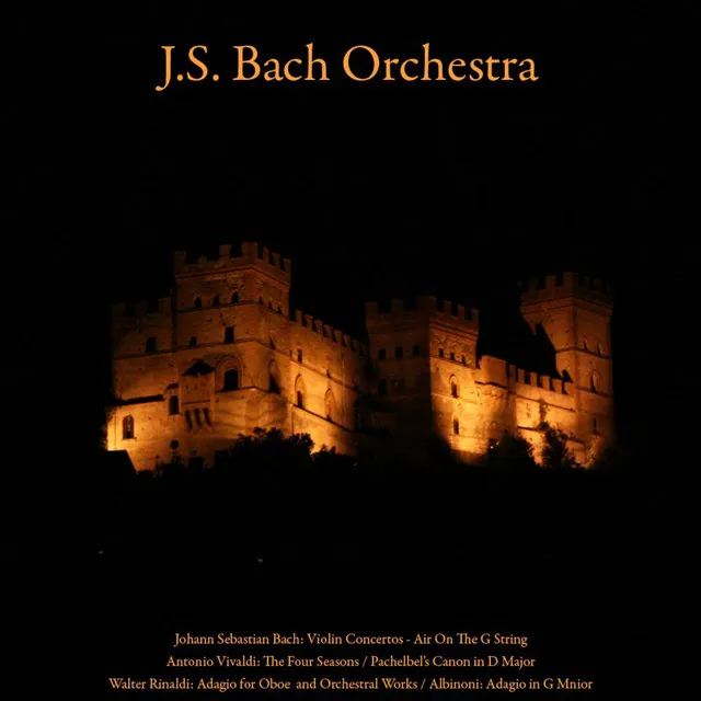 Johann Sebastian Bach: Violin Concerto; Air On the G String - Antonio Vivaldi: the Four Seasons - Pachelbel’s Canon in D Major - Walter Rinaldi: Adagio for Oboe; Orchestral Works - Albinoni: Adagio in G Minor - Vol. VII