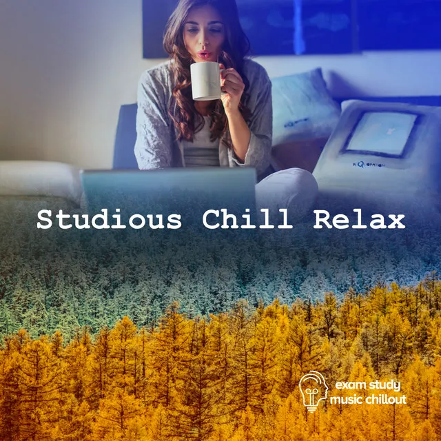 Studious Chill Relax