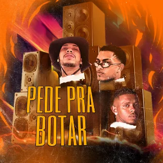 Pede pra Botar by LK Ocognato