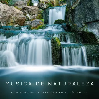 Música De Naturaleza Con Sonidos De Insectos En El Río Vol. 1 by Dormir Profundamente en Minutos