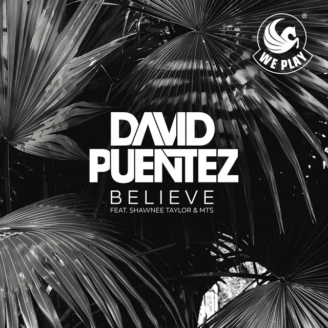 Believe (feat. Shawnee Taylor & MTS) - Radio Mix