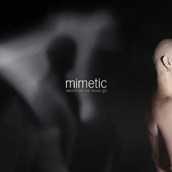 Where We Will Never Go by Mimetic