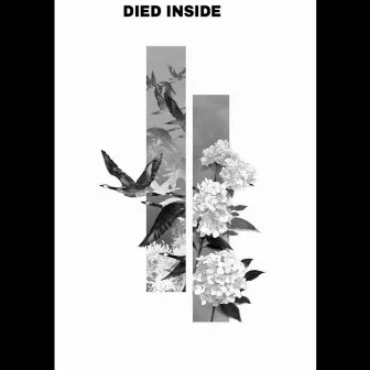 DIED INSIDE 2.0 by Khevado Major