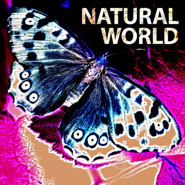 Natural World