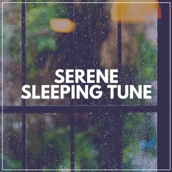 Serene Sleeping Tune by Unknown Artist