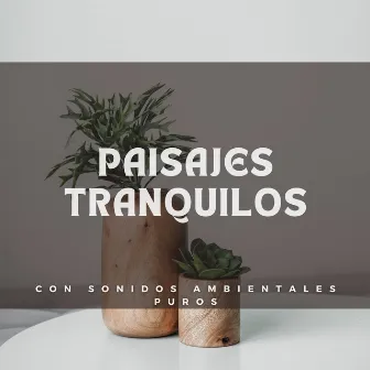 Paisajes Tranquilos Con Sonidos Ambientales Puros by Cafetería Soft Jazz