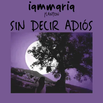 Sin Decir Adios by iammaria