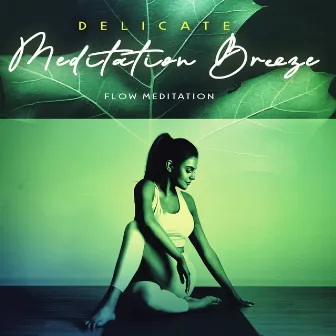 Delicate Meditation Breeze by Flow Meditation