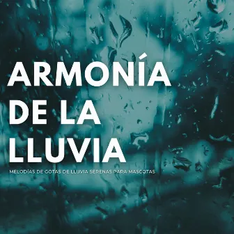 Armonía De La Lluvia: Melodías De Gotas De Lluvia Serenas Para Mascotas by Lloviendo para mascotas tranquilas