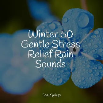 Winter 50 Gentle Stress Relief Rain Sounds by Soothing Music Academy