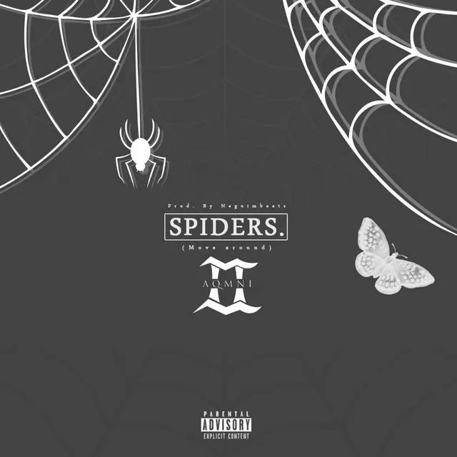 Spiders