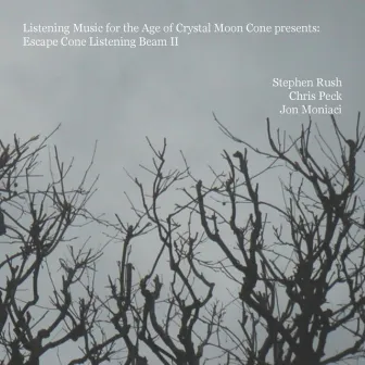 Escape Cone Listening Beam II by Crystal Mooncone