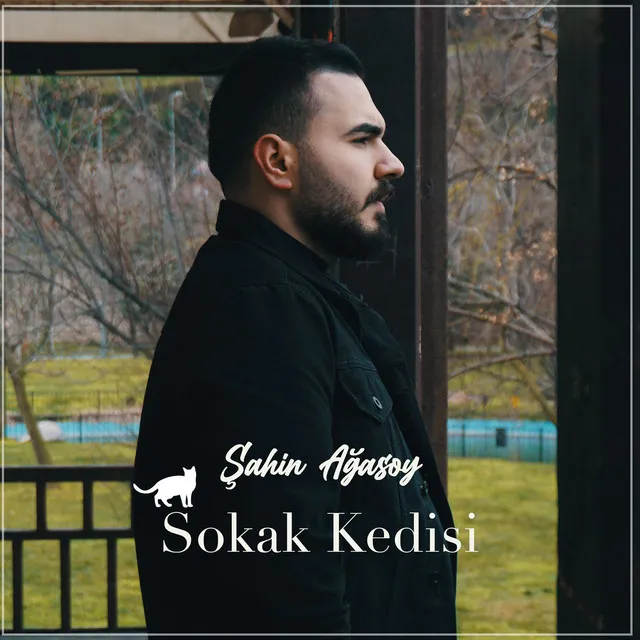 Sokak Kedisi