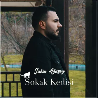 Sokak Kedisi by Şahin Ağasoy