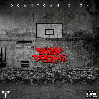 Swoop Dreams by Downtown Dion