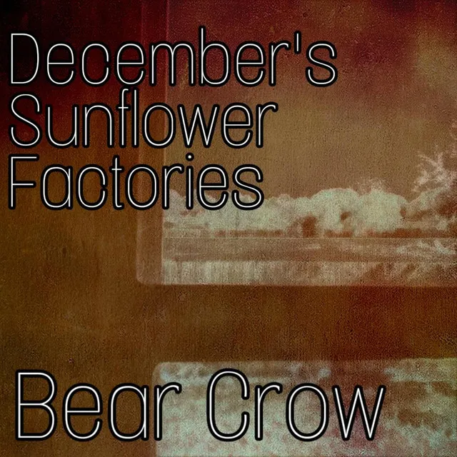 December's Sunflower Factories