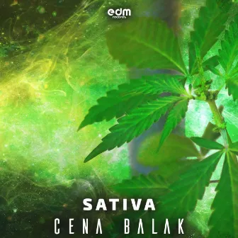 Sativa by Cena Balak