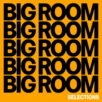 Big Room Selections, Vol. 1 - Compiled and Selected by Sneja by Head Lynch