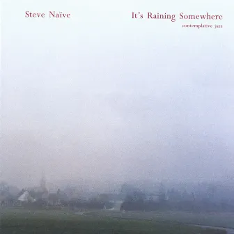 It's Raining Somewhere by Steve Nieve