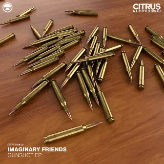 Gunshot / The Warp by Imaginary Friends