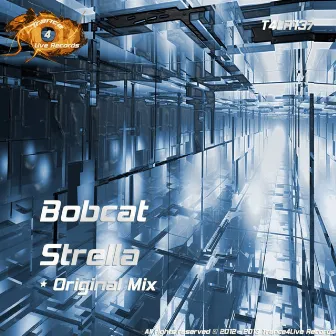 Strella by Bobcat