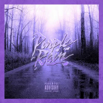 Purple Rain by 3House