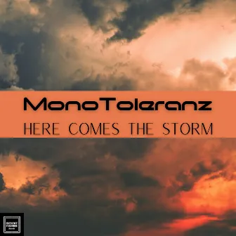 Here Comes the Storm by 