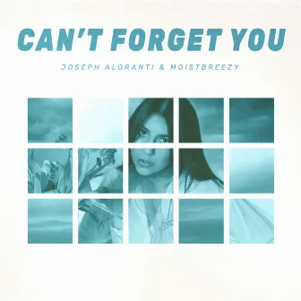 Can't Forget You by Joseph Algranti