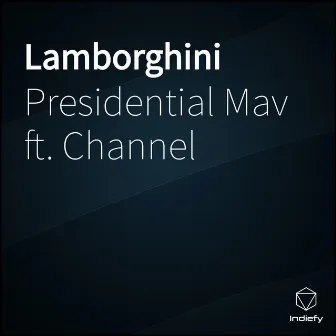 Lamborghini by Presidential Mav