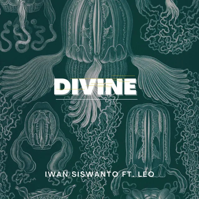 Divine