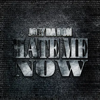 Hate Me Now by Joey Da Don