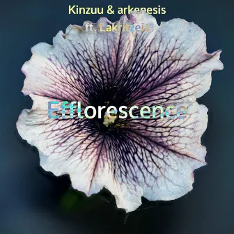 Efflorescence by Kinzuu