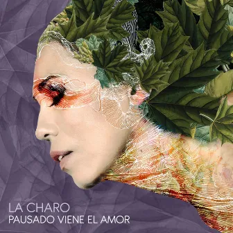 Pausado Viene el Amor by La Charo