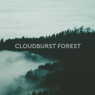 Forest Ambiance by Cloudburst Forest