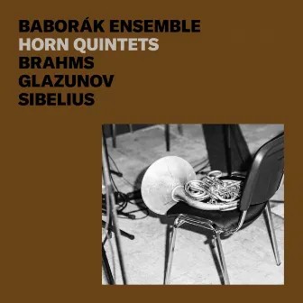 Brahms, Glazunov, Sibelius: Horn Quintets by Baborák Ensemble