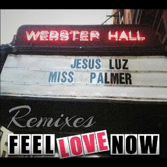 Feel Love Now (Remixes) by Miss Palmer