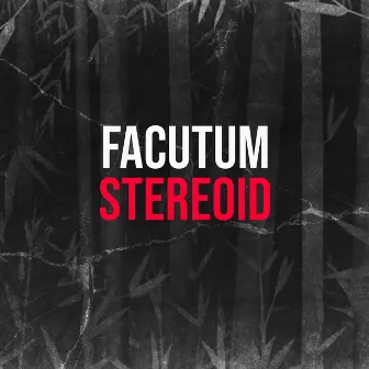 Stereoid by Facutum