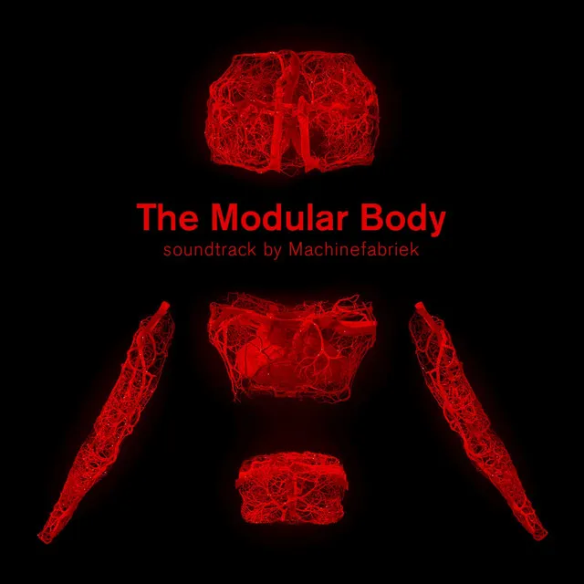 Modular Body 7