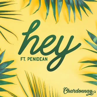 Hey by Chardonnay