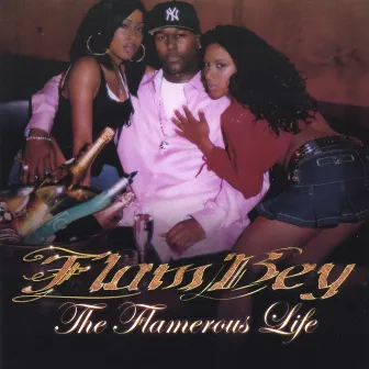 The Flamerous Life by FlamBey