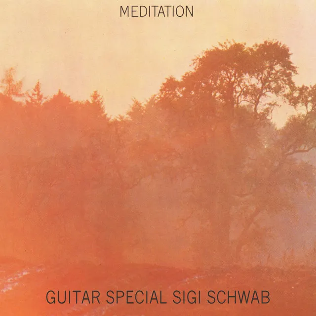 Meditation (Guitar Special)