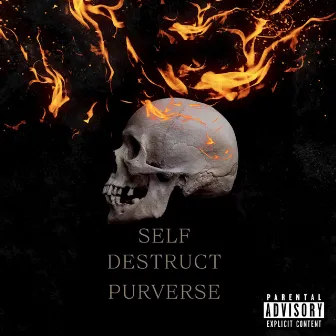 Self Destruct by 