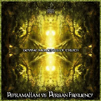 Divine Moments of Truth by Persian Frequency