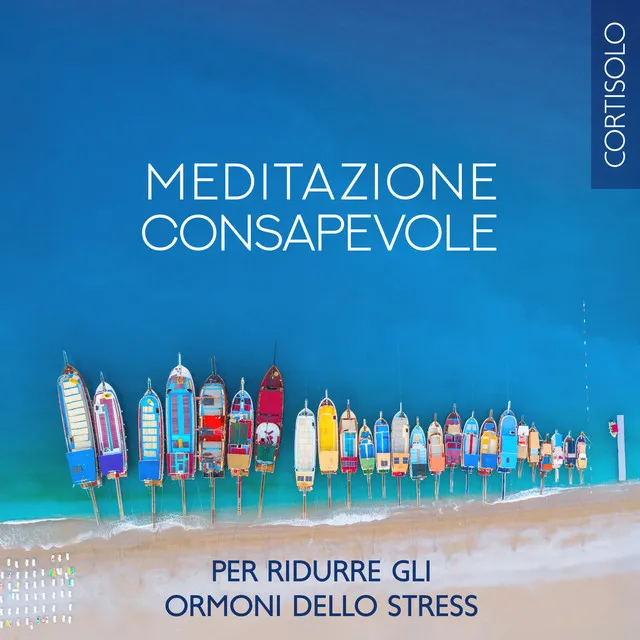 Meditazione consapevole per ridurre gli ormoni dello stress (Cortisolo): Meditazione guidata per cambiare la tua energia, Umore o stato emotivo (Pianoforte con sfondo naturale)