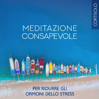 Meditazione consapevole per ridurre gli ormoni dello stress (Cortisolo): Meditazione guidata per cambiare la tua energia, Umore o stato emotivo (Pianoforte con sfondo naturale) by Santuario dei suoni della natura