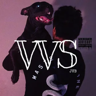 VVS by JVB