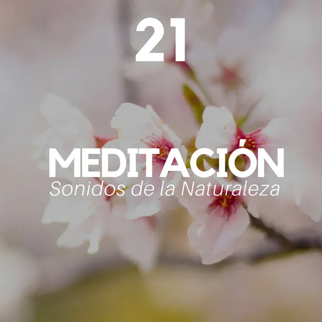 Meditación Profunda